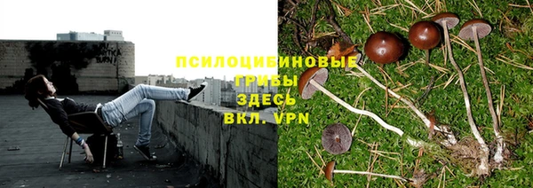 соль курить ск Алзамай